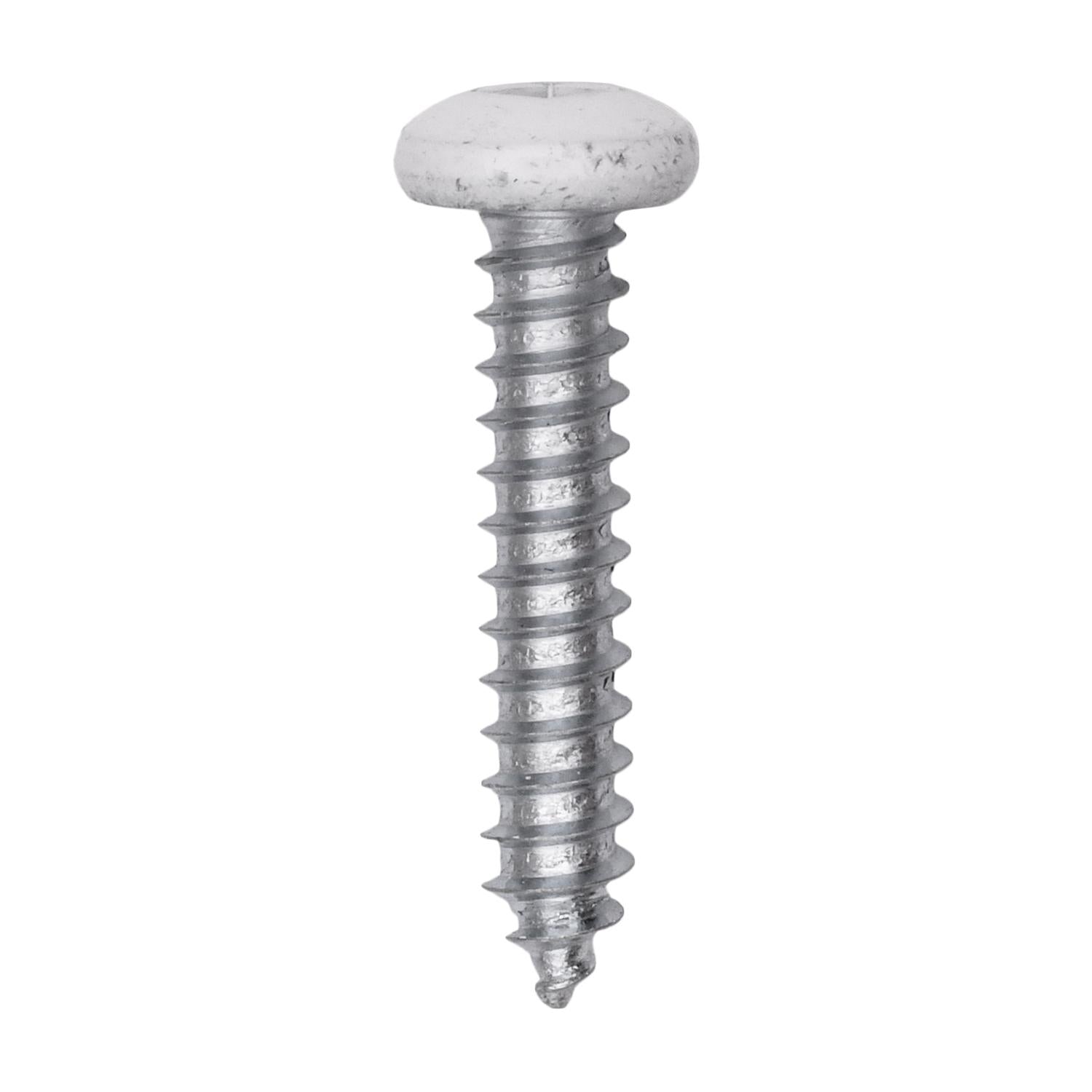 10 x 1" White Painted Square Drive Pan Head Tapping Screw
