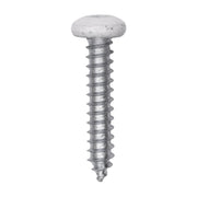 10 x 1" White Painted Square Drive Pan Head Tapping Screw