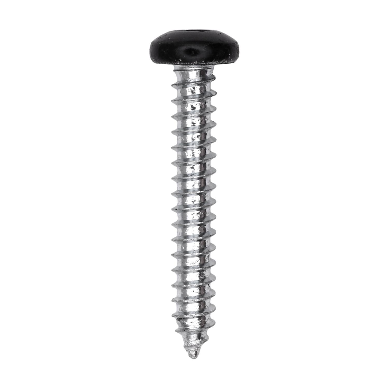 10 x 1-1/4" Black Painted Square Drive Pan Head Tapping Screw