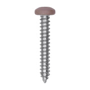 10 x 1-1/4" Tan Painted Square Drive Pan Head Tapping Screw