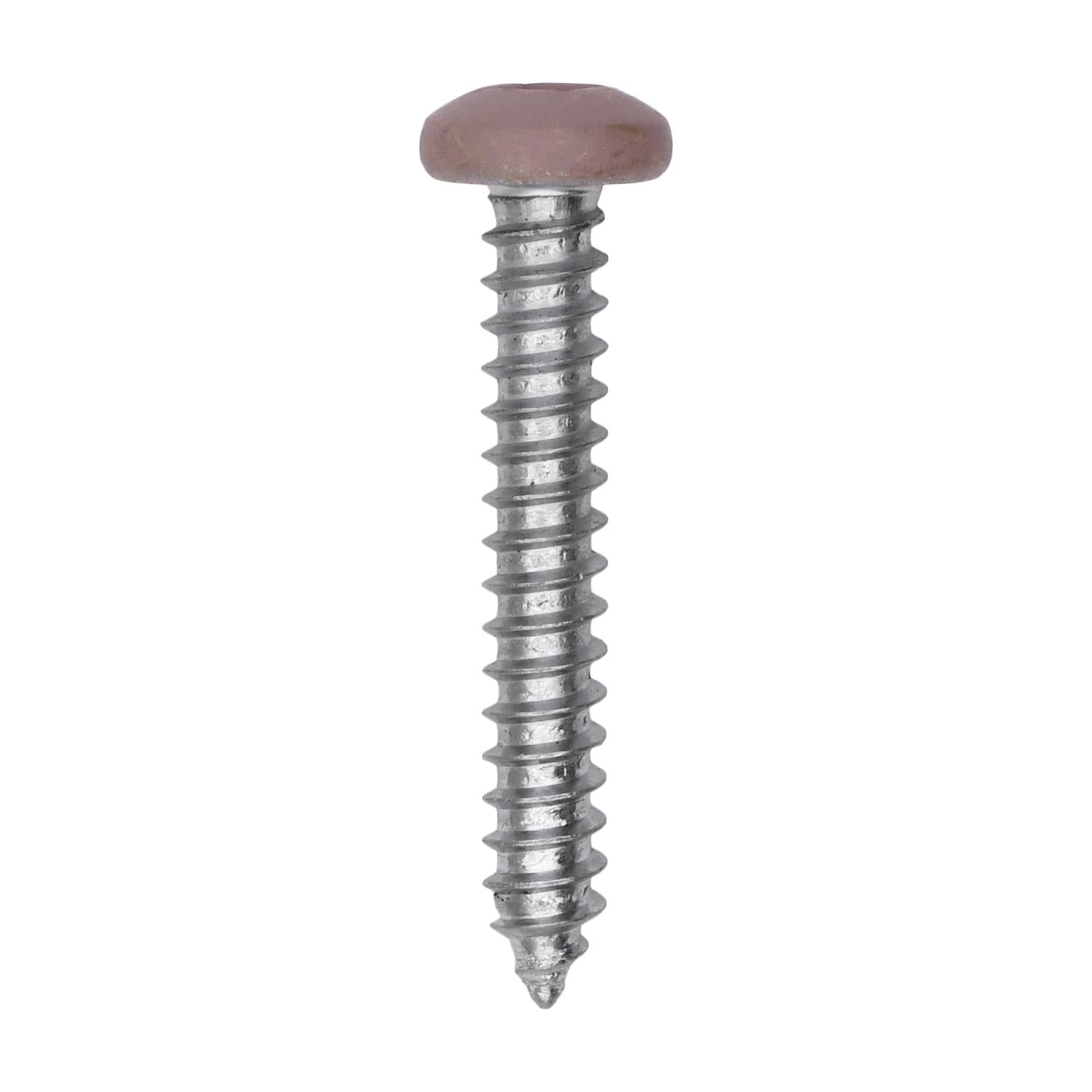 10 x 1-1/4" Tan Painted Square Drive Pan Head Tapping Screw