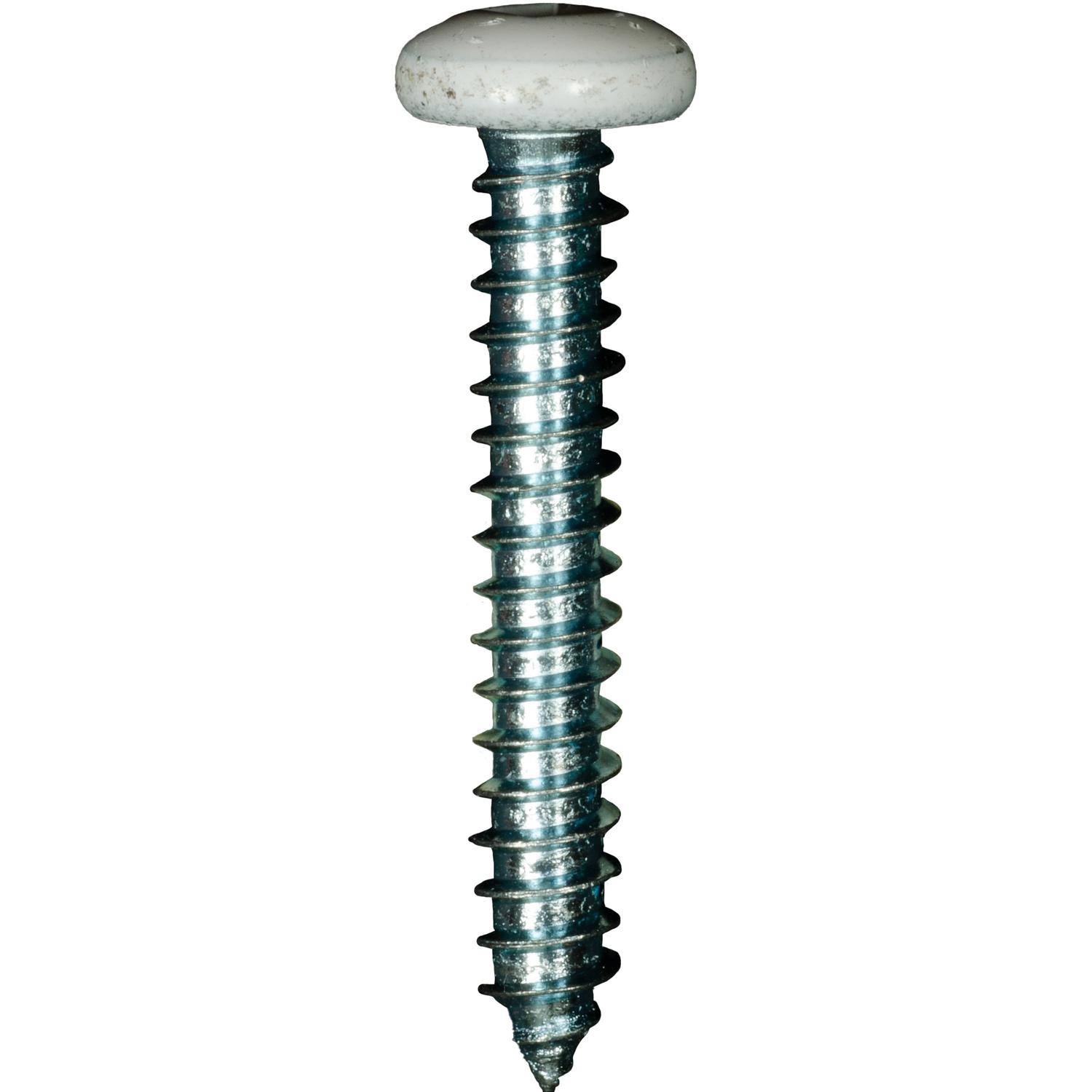 10 x 1-1/4" White Painted Square Drive Pan Head Tapping Screw