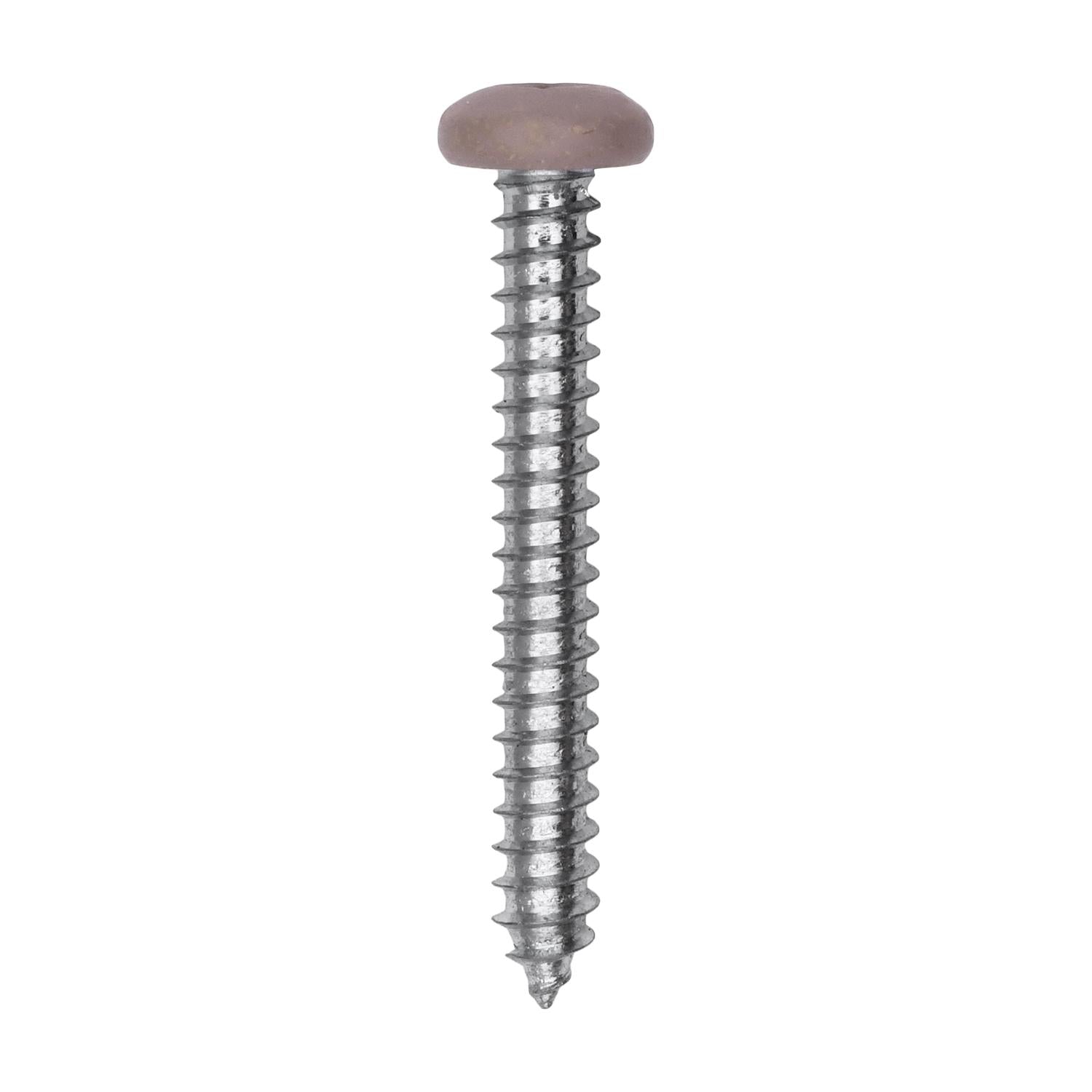 10 x 1-1/2" Tan Painted Square Drive Pan Head Tapping Screw