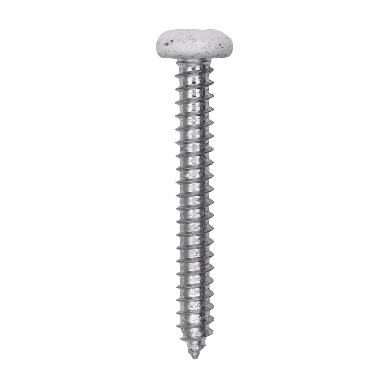10 x 1-1/2" White Painted Square Drive Pan Head Tapping Screw