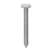 10 x 1-1/2" White Painted Square Drive Pan Head Tapping Screw