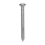 10 x 2" Phillips Oval #8 Head Tapping Screw Zinc