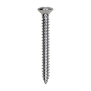 8 x 1-1/2" Phillips Oval Head Tapping Screw Chrome