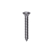 4 x 3/4" Phillips Oval Head Tapping Screw Chrome