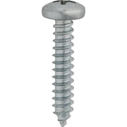 10 x 1" Phillips Pan Head Tapping Screw Zinc