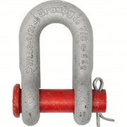 D-Shackle,2,000 lb Load Cap,Carbon Steel