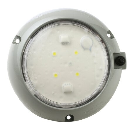 Dome Lamp,Surface Mnt,LED,Dia 5 29/32 In