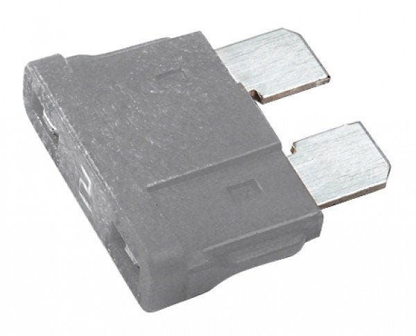 Standard Blade Fuse, 2A, 5 Pk