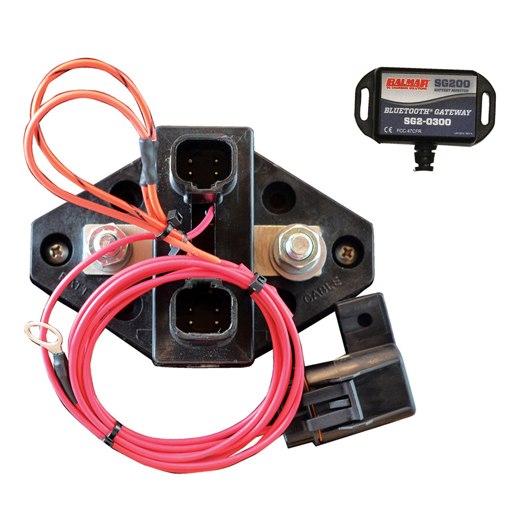 SG205 Battery Monitor Kit w/Bluetooth Gateway - No Display