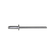 Pan-L-Rivets Dome 1/4" Diameter 1/8" Grip 1/8"-3/16"