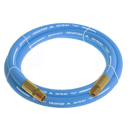 1/2" x 5' Blue EPDM Rubber Air Hose, 300 PSI, 1/2" MNPT x FNPSM