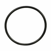 O-Ring 55079, 1/pk