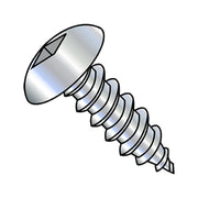 Sheet Metal Screw, #6-20 x 1/4 in, Zinc Plated Steel Round Head Square Drive, 5000 PK
