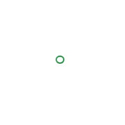 Green O-Ring Identification Ring for Nitrogen