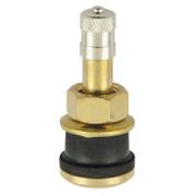 TR-501 Clamp-In Brass Truck Valve