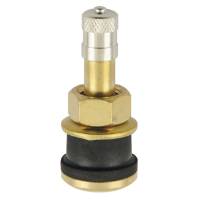 TR-501 Clamp-In Brass Truck Valve