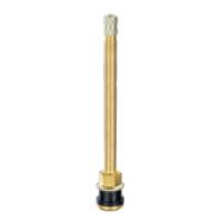 TR-573 Clamp-in Brass Truck Valve