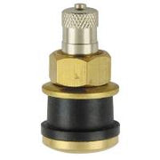 TR-575 Clamp-In Brass Truck Valve