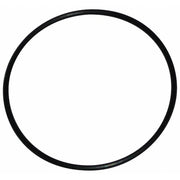 O-Ring, 24.0 x 1.0 55176, 1/pk