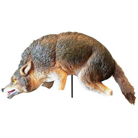 Coyote Bird Repeller,3D