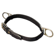 Body Belt, 2 D-Rings, Hips Location, Stainless Steel, Includes Padding: No ,M