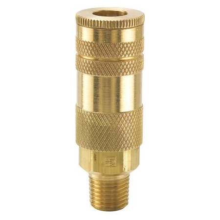 Coupler Body,Brass,MNPT,1/4 In. Pipe