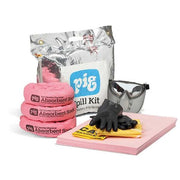 Spill Kit, 5 gal Volume Absorbed per Kit, Not Applicable Capacity, Bag, Silver, 27