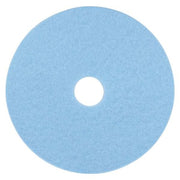 Burnishing Pad,17 In,Sky Blue,PK5
