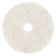 Burnishing Pad,20 In, White, PK5