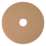 Burnishing Pad,20", Tan, PK5