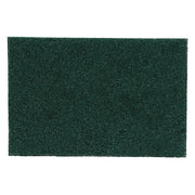 General Purpose Scouring Pad,PK10