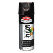 Spray Paint, Black, Gloss, Solvent, 12 oz