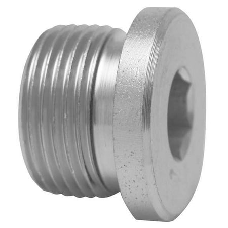 M42 x 2" Metric 316 SS Hollow Hex Plug