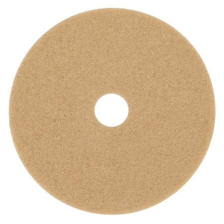 Burnishing Pad,20 In,Tan,PK5