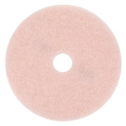 Burnishing Pad,24 In,Pink,PK5