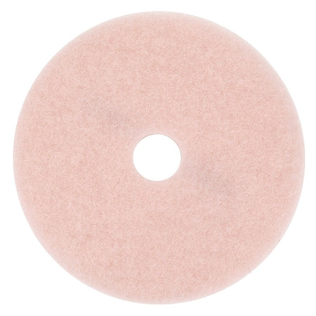 Burnishing Pad,24 In,Pink,PK5