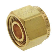 1/8" CPI Compression Brass Plug
