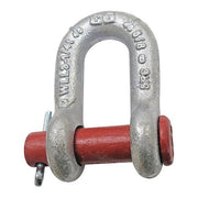 Anchor Shackle,Round Pin,3/4" Pin Dia.