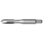 Spiral Point Tap Plug, 3 Flutes