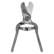 Lemon Shear