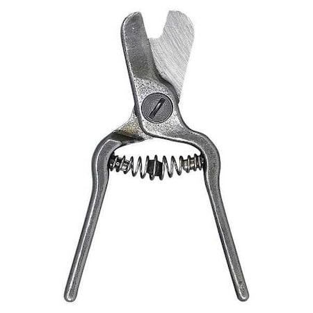 Lemon Shear