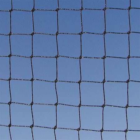 Bird Repellent Netting,75 ft.L,31.65 lb.