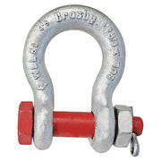 Anchor Shackle,5/16" Body Sz,Galvanized