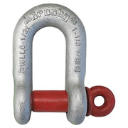 Shackle,7/16" Body Sz,Galvanized