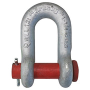 Shackle,1-1/4" Body Sz,Galvanized
