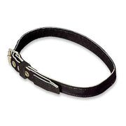 Body Belt, None Location, Includes Padding: No ,Universal